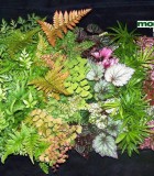 make your own terrarium plants