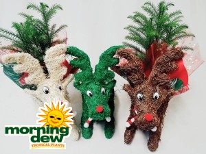 Christmas Reindeer & Pine 10 in