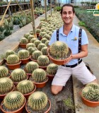 Cactus Barrel Varieties 12 in